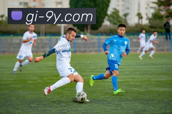 九游官网平台生态图